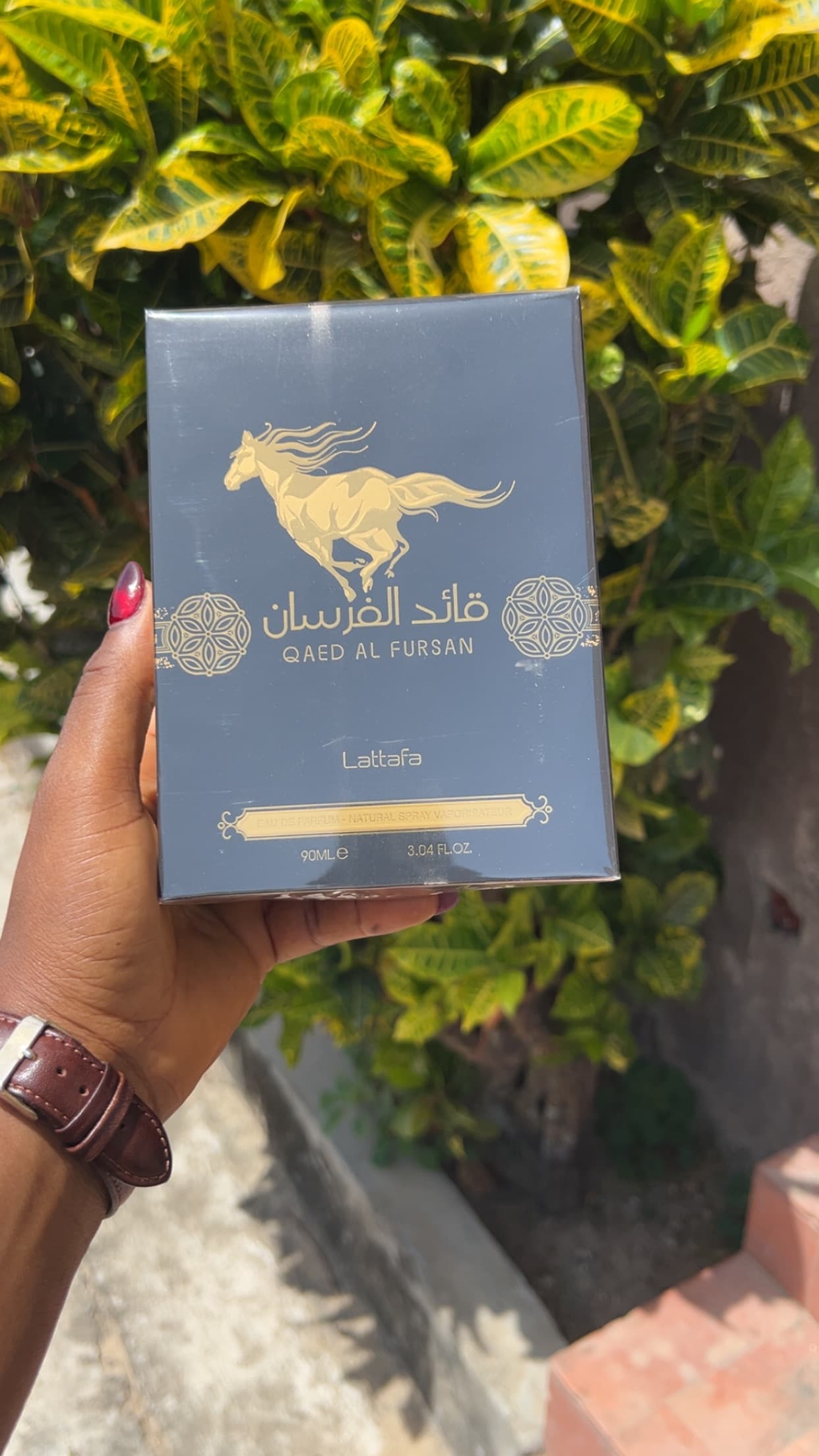 LATTAFA QA’ED AL FURSAN